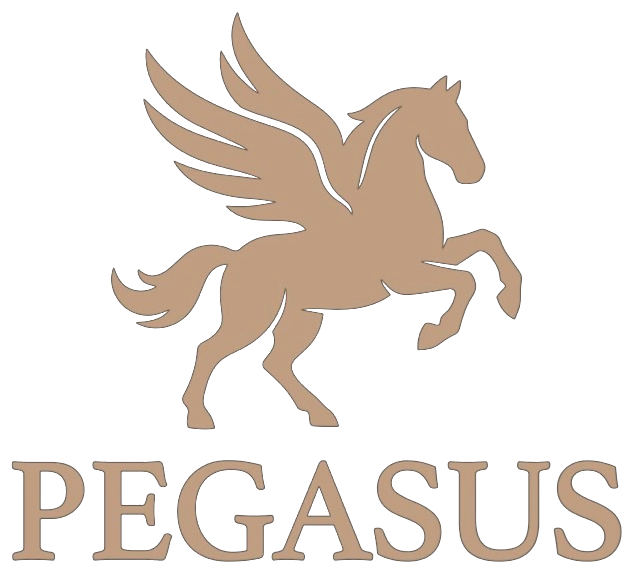 Pegasus — Centro de entrenamiento